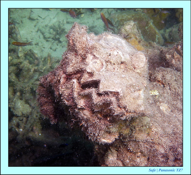 2012 - 03 - Koh Kradan 17